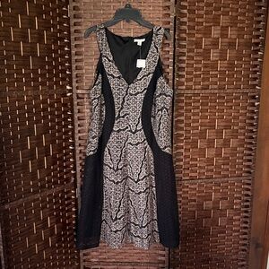 Cato Black Dress with Cream Lace-Effect Panels